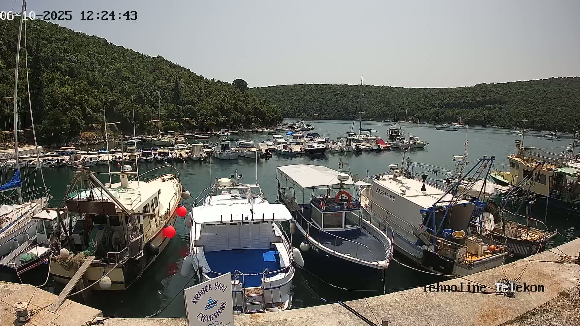 A sunny day at a marina filled with numerous boats of varying sizes, nestled alongside a verdant hillside.