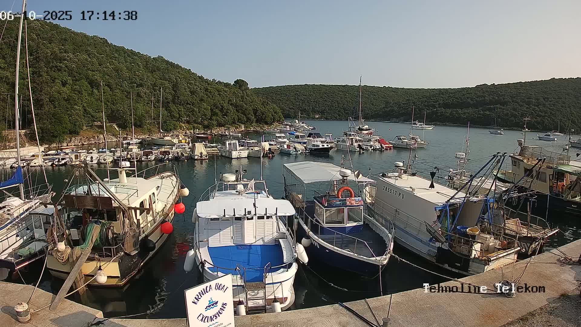 A harbor filled with numerous boats of varying sizes is nestled in a cove surrounded by lush green hills under a clear, sunny sky.
