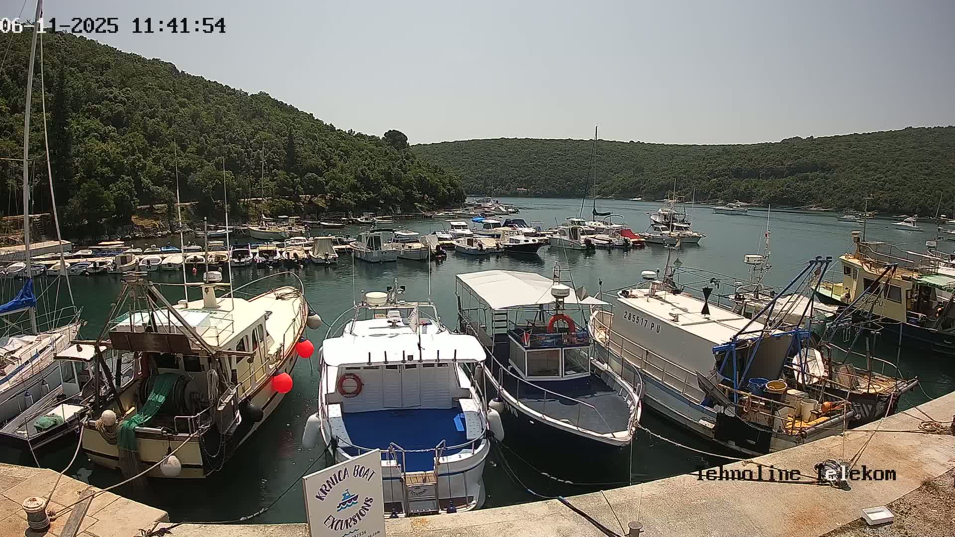 A sunny day at a harbor shows numerous boats moored alongside a dock, with a verdant hillside rising behind it.