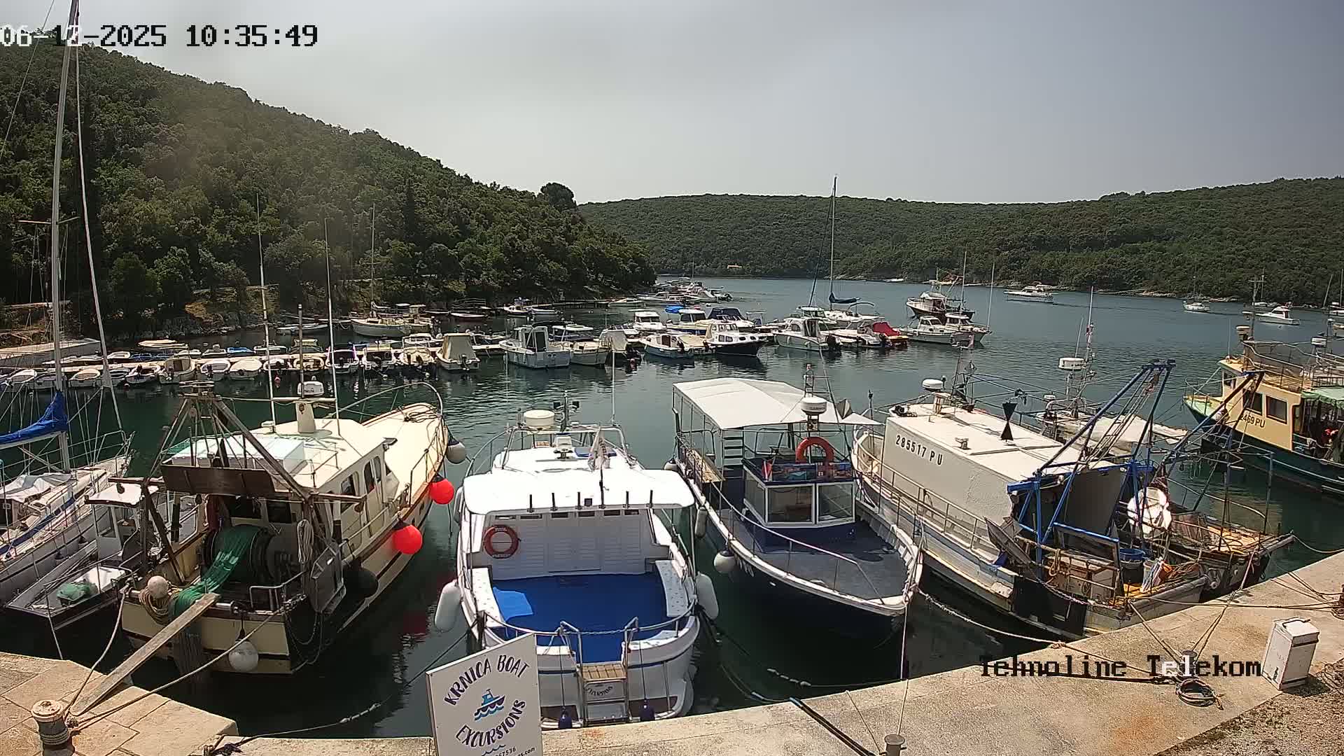 A sunny day at a marina filled with numerous boats of varying sizes, nestled within a bay surrounded by lush green hills.