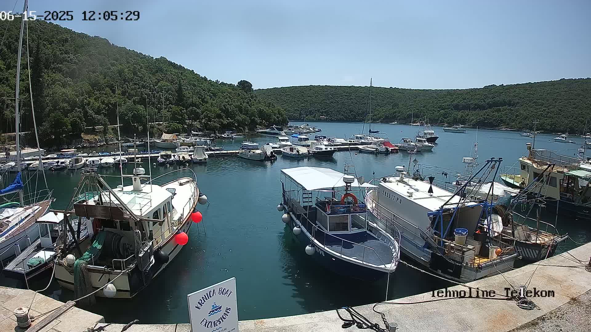 A calm, sunny day at a marina filled with numerous boats of varying sizes, nestled against a verdant hillside.