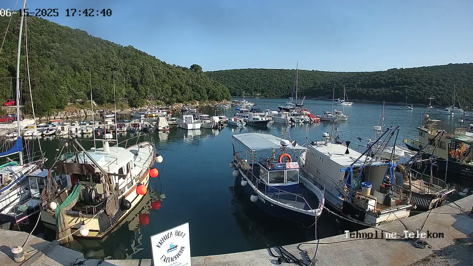 A calm, sunny day shows a harbor filled with numerous boats of varying sizes, nestled within a cove surrounded by lush green hills.