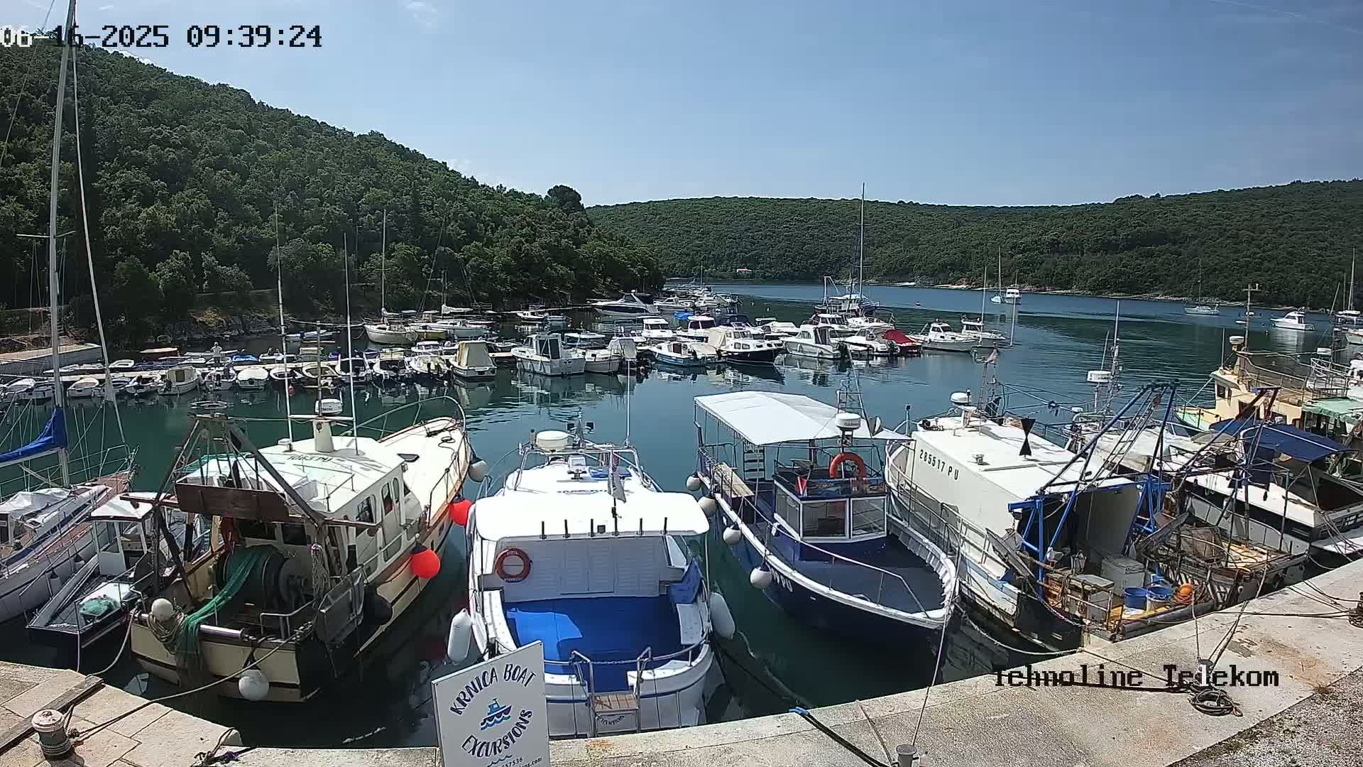 A harbor filled with numerous boats of various sizes is nestled in a calm bay surrounded by lush green hills under a clear, sunny sky.