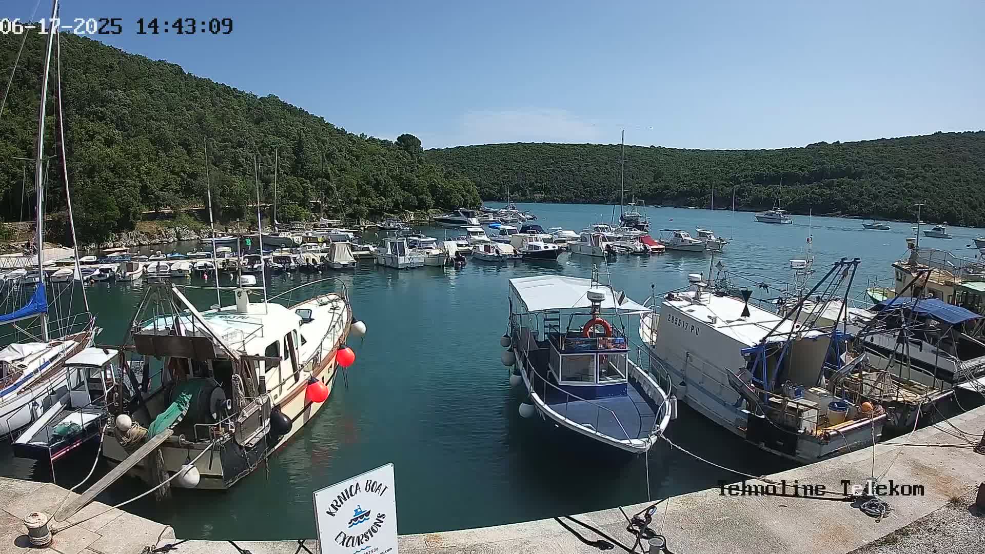 A sunny day at a marina filled with various boats, nestled in a cove surrounded by lush green hills.