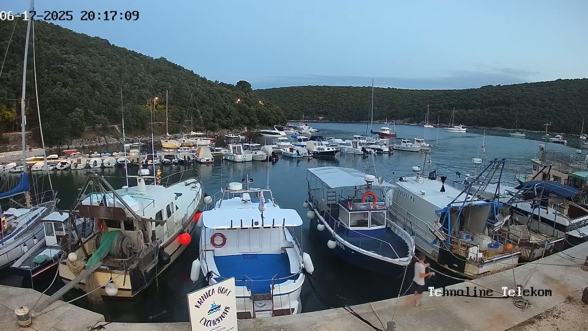 A calm harbor at twilight is filled with numerous boats and yachts, nestled against a backdrop of verdant hills.