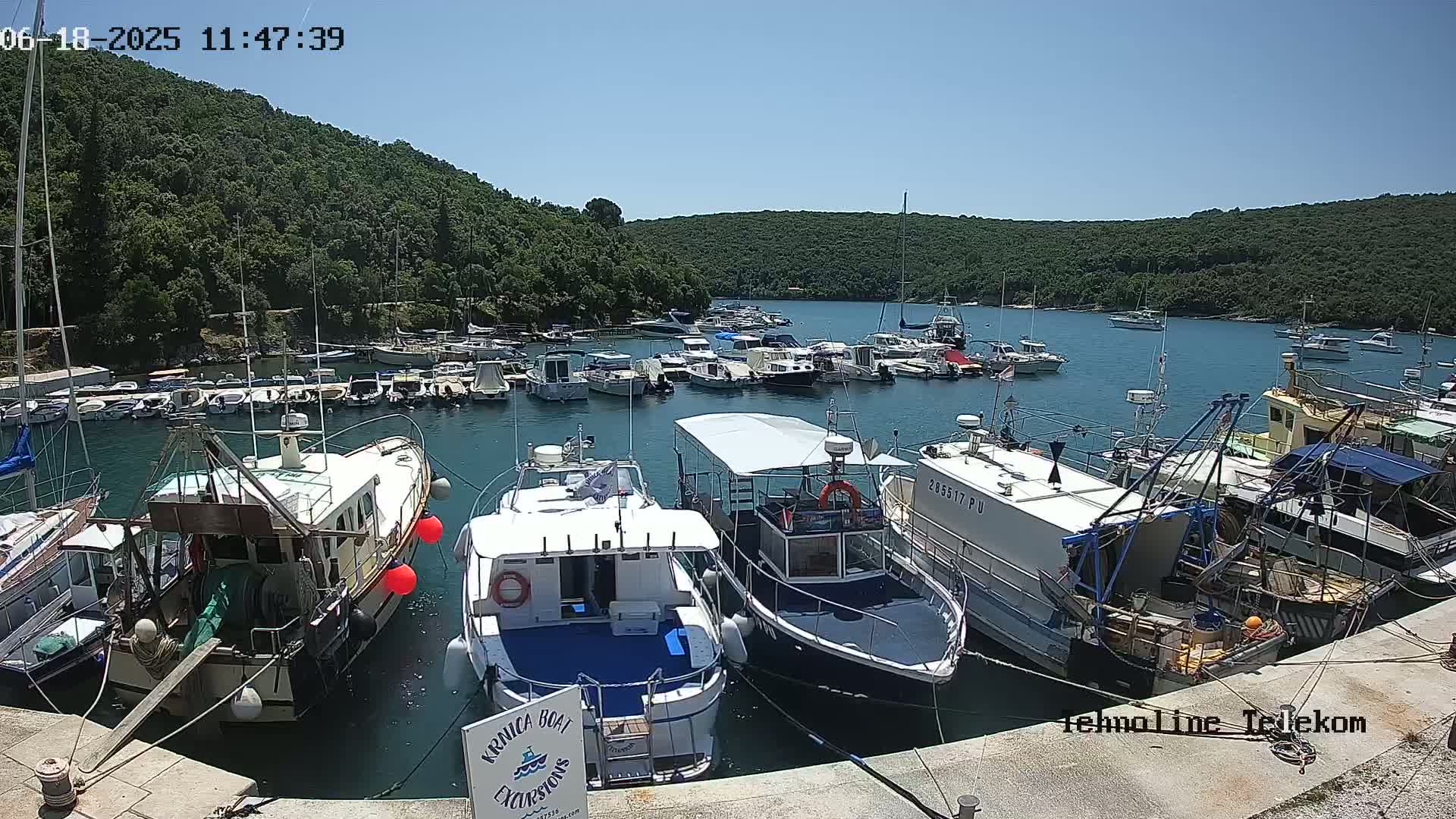 A sunny day at a marina filled with various boats, nestled in a cove surrounded by lush green hills.