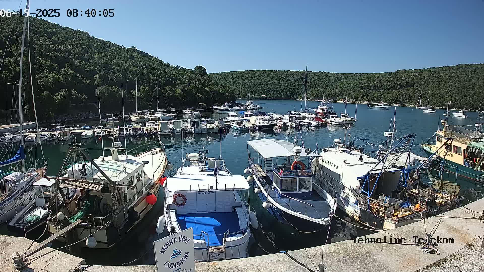 A marina filled with numerous boats of various sizes is nestled in a calm bay surrounded by lush green hills under a clear, sunny sky.