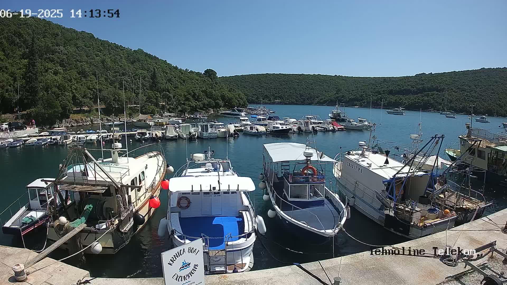 Many boats are moored in a calm harbor on a sunny day, nestled against a verdant hillside.