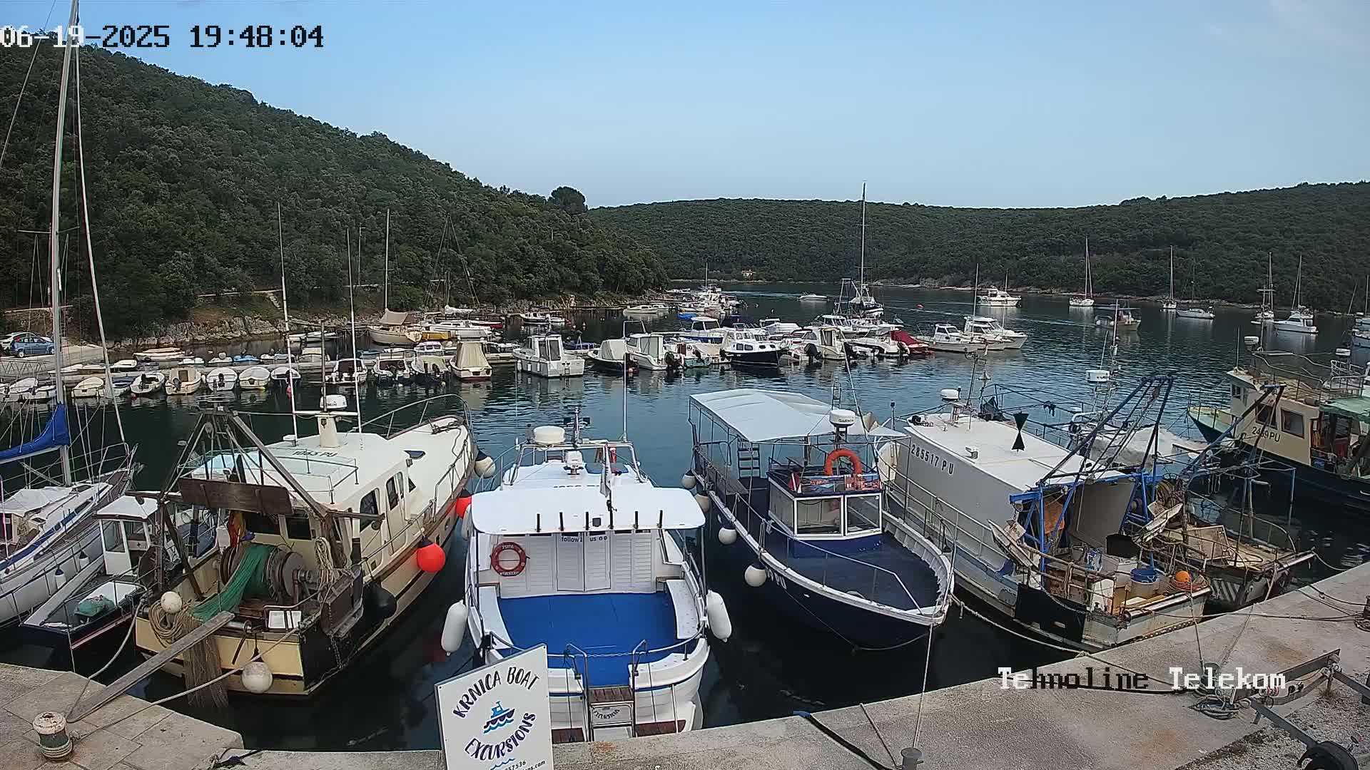 Many boats are docked in a calm harbor, surrounded by green hills under a clear blue sky.