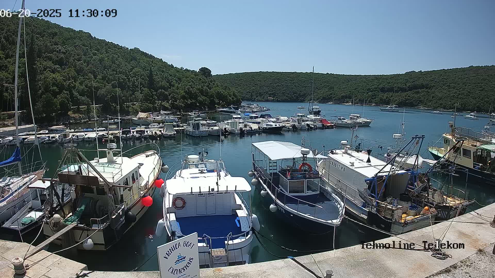 A marina filled with numerous boats of varying sizes is nestled in a calm bay, surrounded by lush green hills under a clear blue sky.
