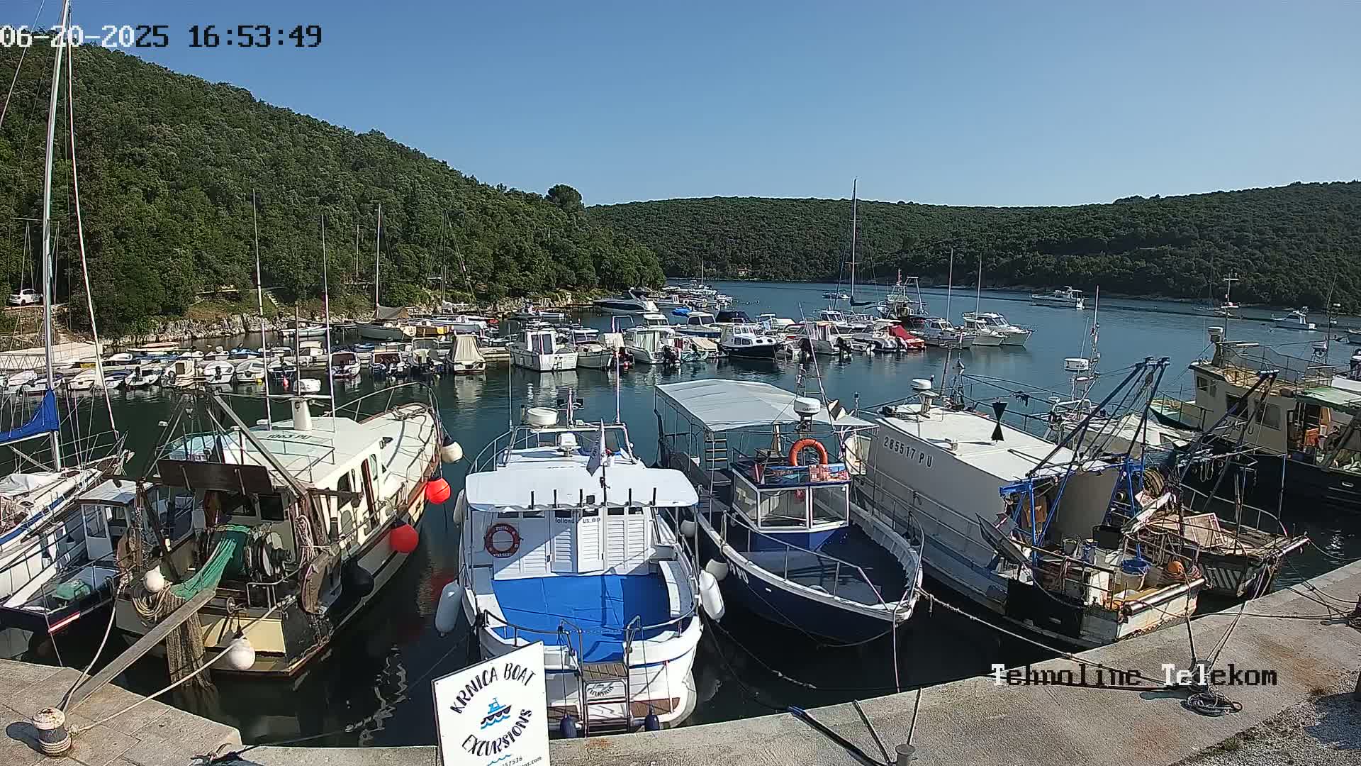 Many boats are docked in a calm harbor surrounded by lush green hills under a clear blue sky.