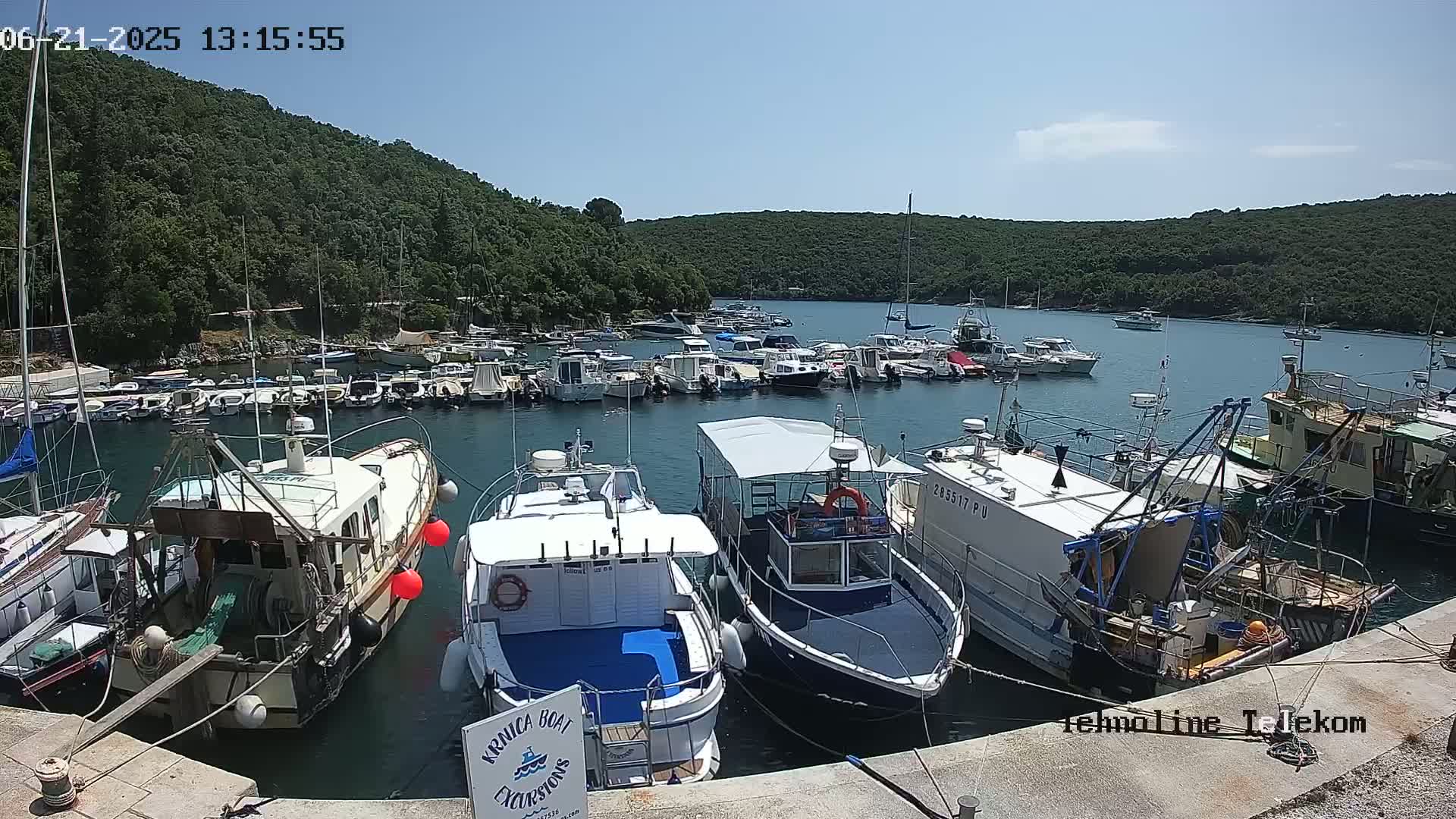 Many boats are docked in a calm harbor surrounded by lush green hills under a clear blue sky.