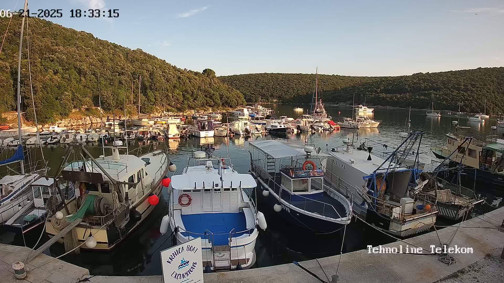 A calm harbor filled with numerous boats of varying sizes, nestled within a cove surrounded by lush green hills under a clear, sunny sky.