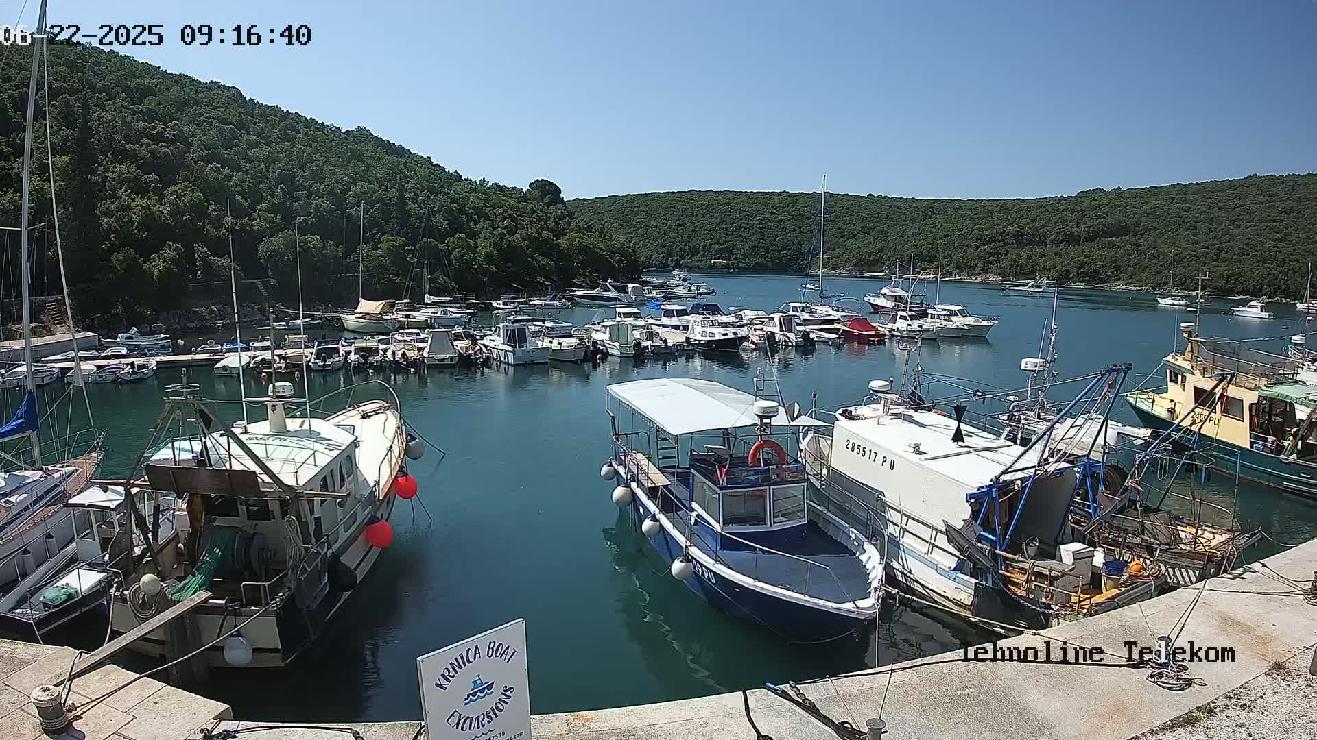 A harbor filled with numerous boats of varying sizes is nestled within a cove surrounded by lush green hills under a clear blue sky.
