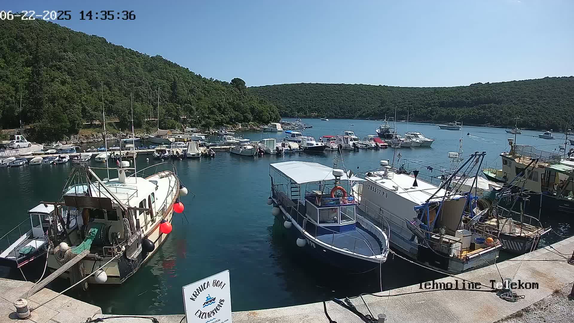 A harbor filled with numerous boats of varying sizes is nestled within a cove surrounded by lush green hills under a clear, sunny sky.