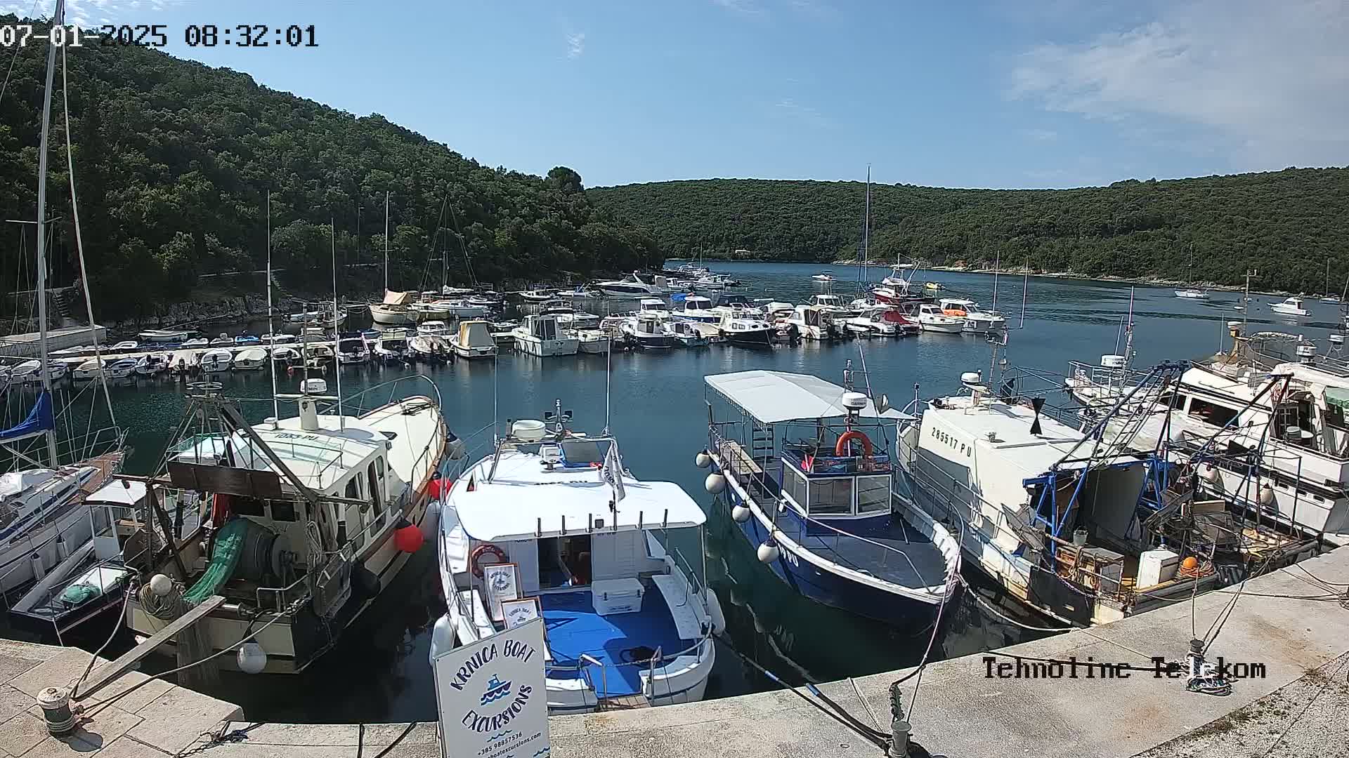 A marina filled with numerous boats is nestled in a bay surrounded by lush green hills under a sunny sky.
