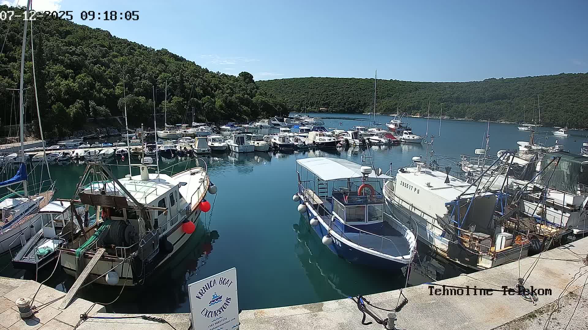 A calm, sunny day reveals a harbor filled with numerous boats of varying sizes, nestled within a cove surrounded by lush green hills.