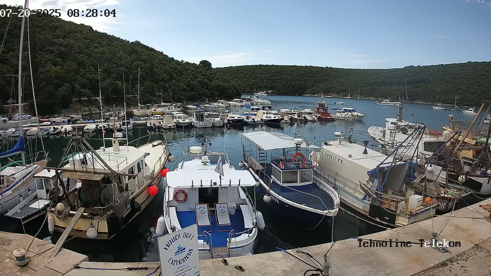A harbor filled with numerous boats and yachts on a sunny day, nestled in a cove surrounded by lush green hills.