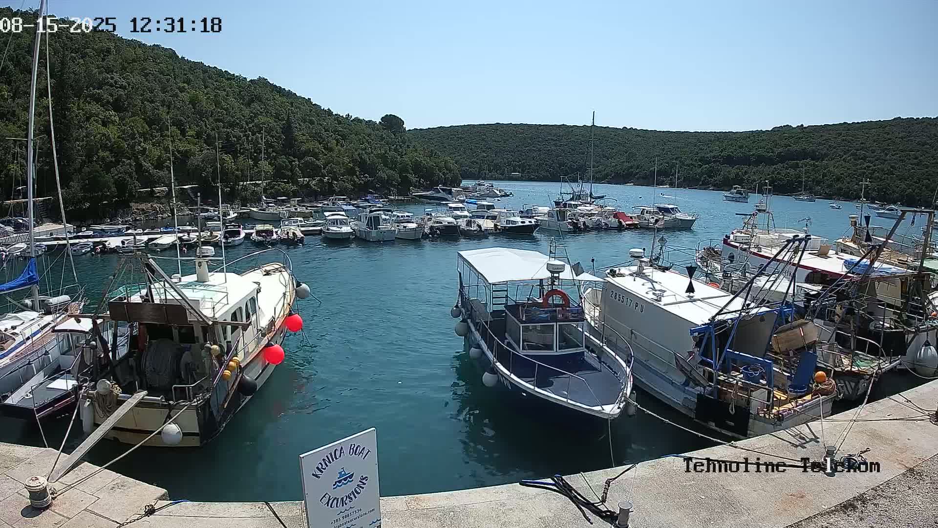 A sunny day at a marina shows numerous boats of varying sizes docked, with a background of lush green hills.