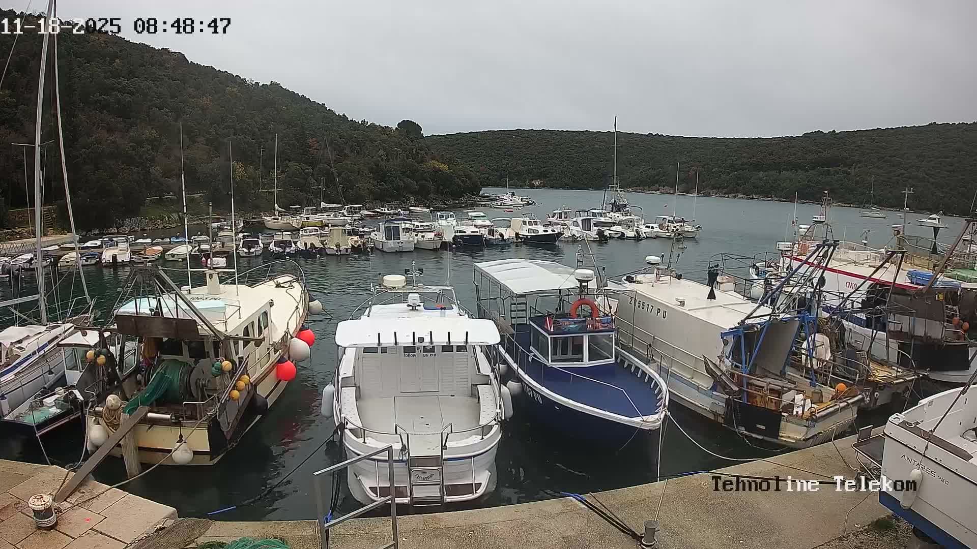 A sunny day at a marina shows numerous boats of varying sizes docked, with a background of lush green hills.