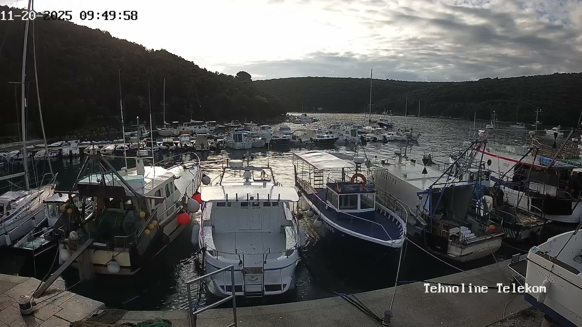 A harbor bustling with numerous boats, ranging from small leisure crafts to larger fishing vessels, is nestled between densely forested hills under a partly cloudy sky.