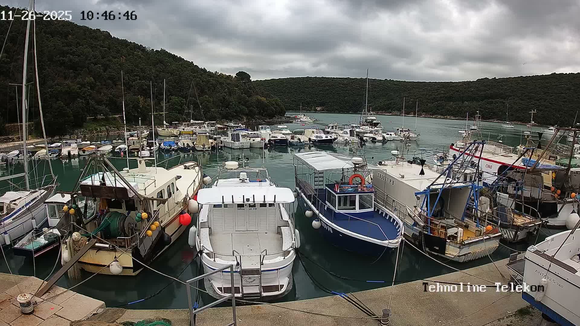 Many boats of various sizes are moored in a bustling marina, surrounded by lush, forested hills under a heavily overcast and gloomy sky.