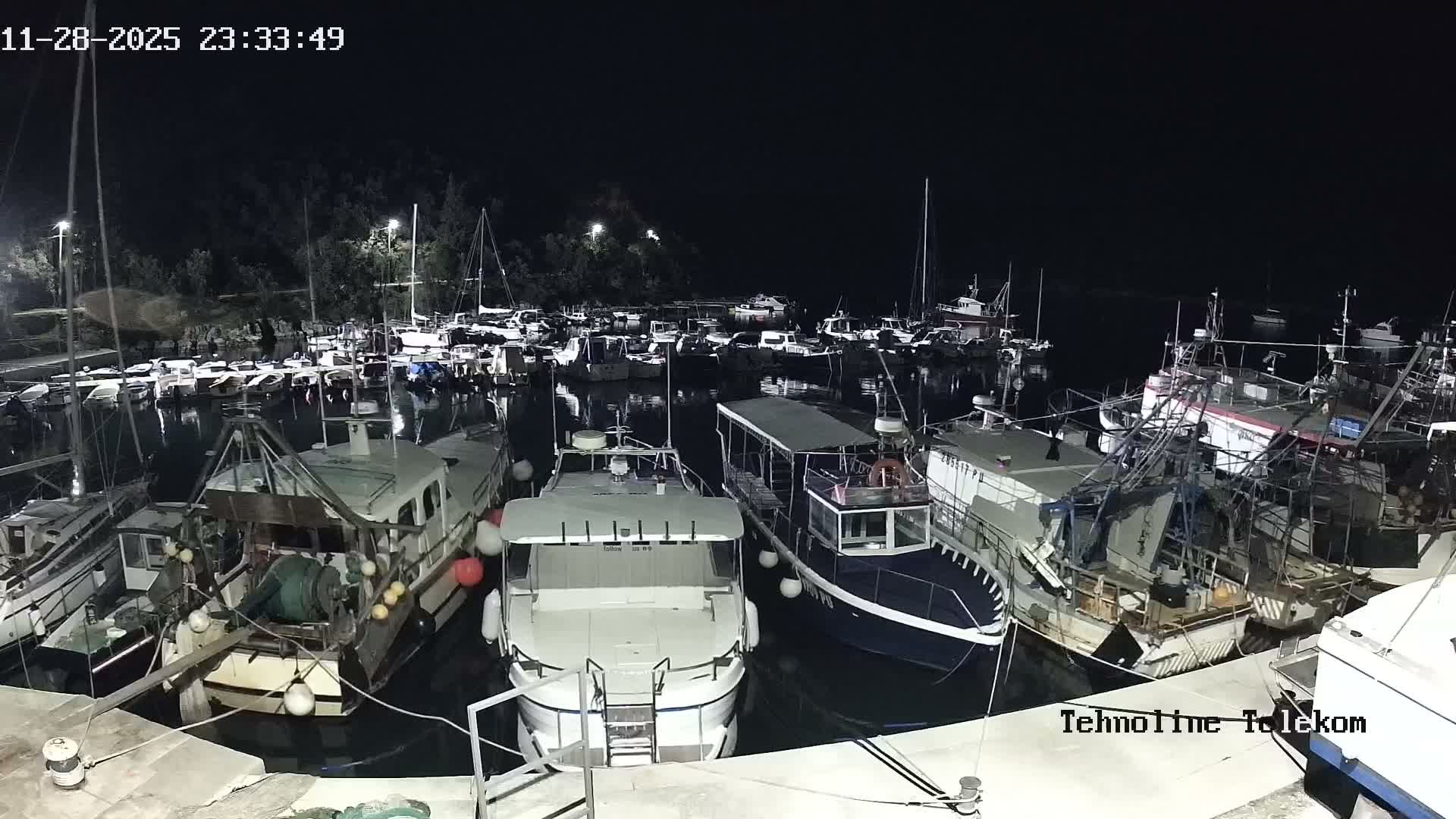 Numerous boats of various sizes are docked in a well-lit marina at night under clear, calm conditions.
