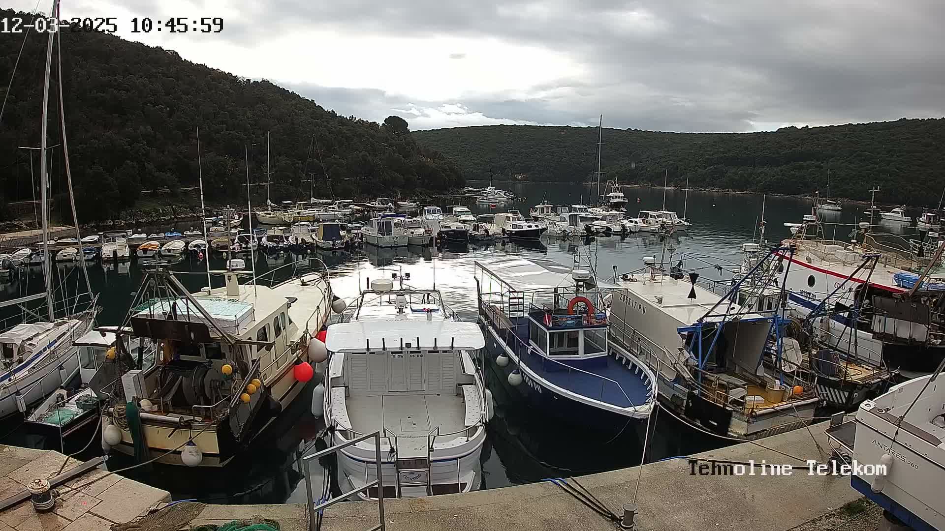 A busy harbor is depicted with numerous boats docked and moored, ranging from small pleasure craft to larger fishing vessels, all nestled in a bay surrounded by lush, forested hills under a cloudy, overcast sky.