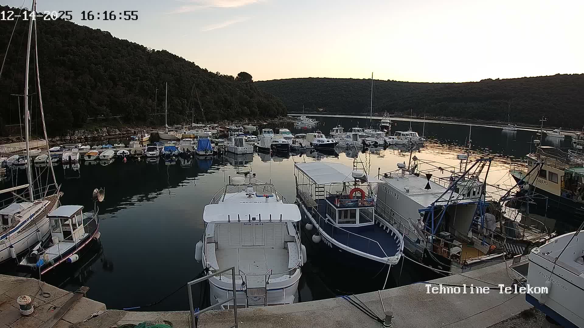 A busy harbor is depicted with numerous boats docked and moored, ranging from small pleasure craft to larger fishing vessels, all nestled in a bay surrounded by lush, forested hills under a cloudy, overcast sky.