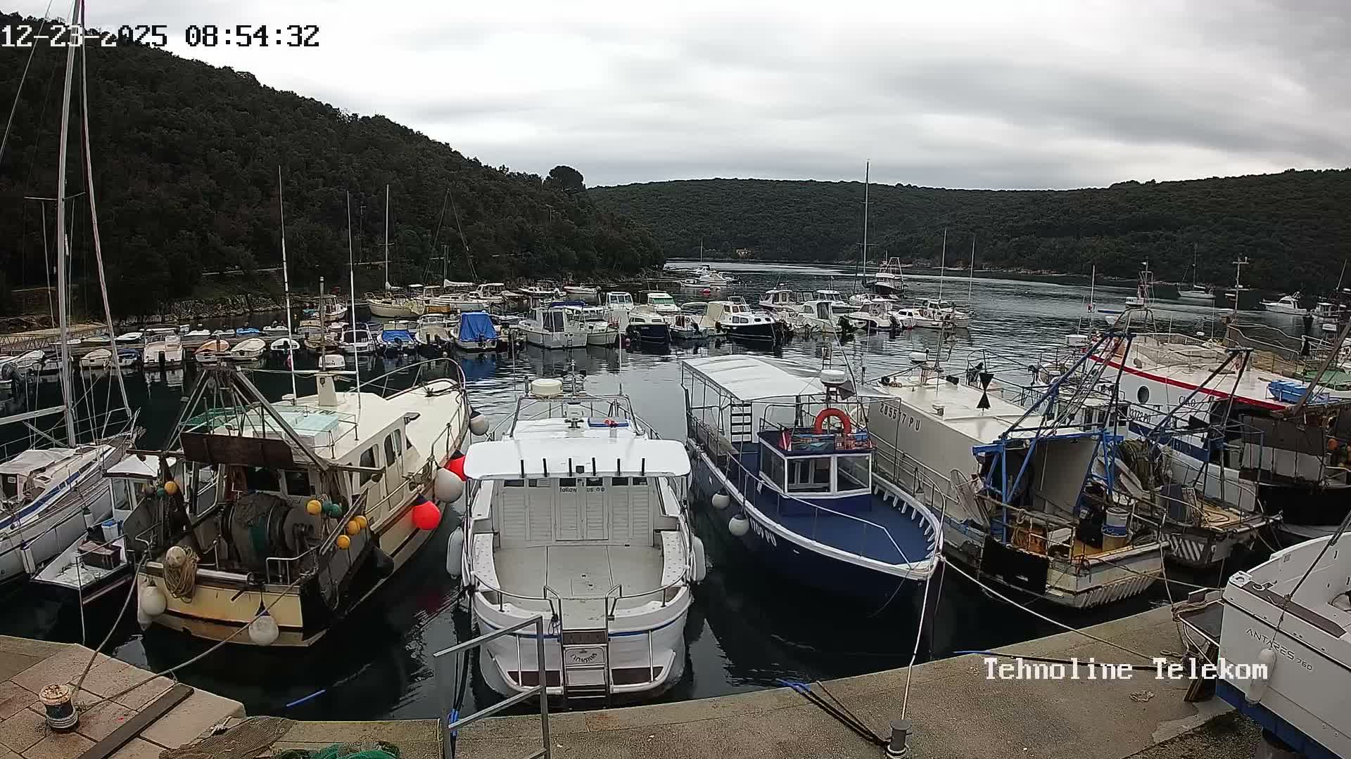 Krnica, Krnicki Porat Marine & Adriatic Coast Live Cam - Krnica, Opcina Marcana, Istria, Croatia