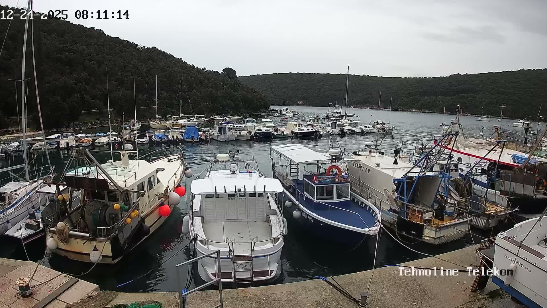 Krnica, Krnicki Porat Marine & Adriatic Coast Live Cam - Krnica, Opcina Marcana, Istria, Croatia