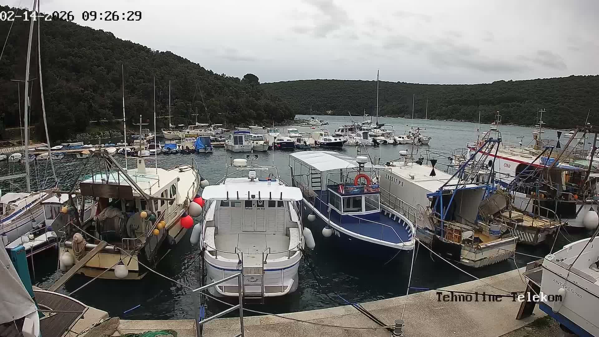 Krnica, Krnicki Porat Marine & Adriatic Coast Live Cam - Krnica, Opcina Marcana, Istria, Croatia
