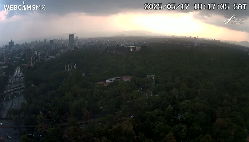 An aerial view of a city partially obscured by an overcast sky shows a large expanse of dark green trees with a city skyline visible in the distance during what appears to be sunset.