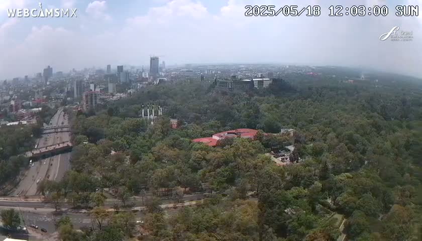 An aerial view shows a highway and a large expanse of green trees and parkland, with a city skyline and hazy, partly cloudy skies visible in the distance.