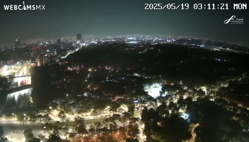 A nighttime aerial view shows a city skyline and a large, dark park with scattered lights under a clear, dark sky.