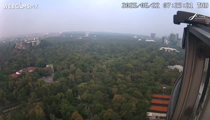 An aerial view shows a hazy, expansive forest with buildings and city structures visible in the distance on a slightly overcast day.