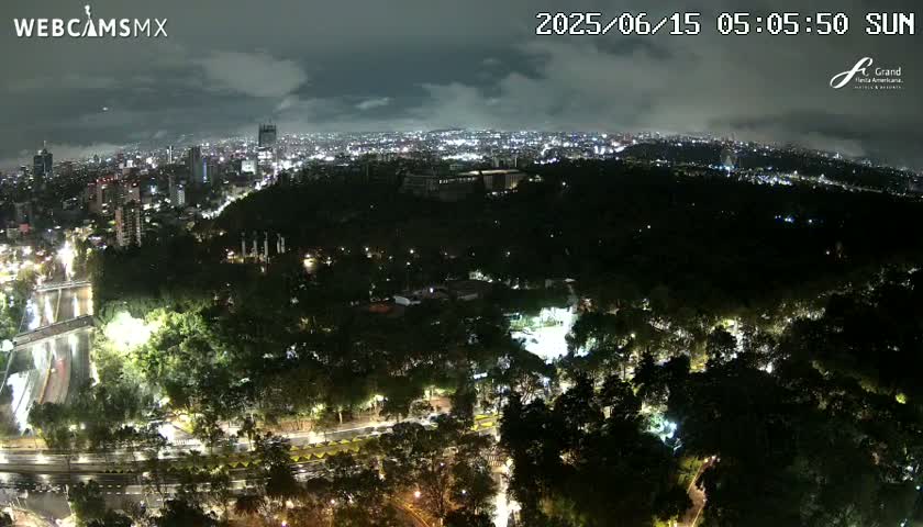 A nighttime aerial view shows a city with lights illuminating roads and buildings, surrounded by a dark, expansive park under a cloudy sky.