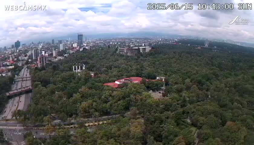 An aerial view shows a large city partially obscured by a sprawling green forest under partly cloudy skies.