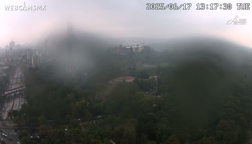 A hazy, possibly rainy view of a city, with a large building visible in the distance among a dense, green, tree-covered area.