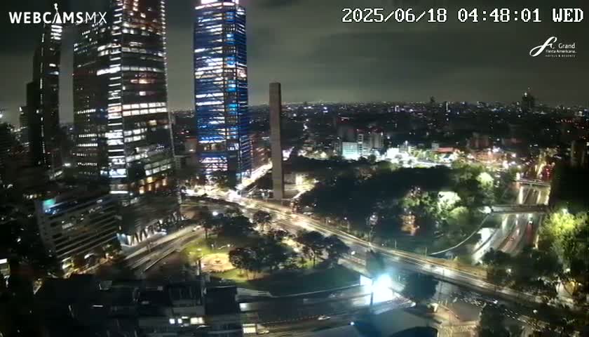 A nighttime, high-angle view of a city with illuminated skyscrapers and roadways surrounded by dark, tree-filled areas.