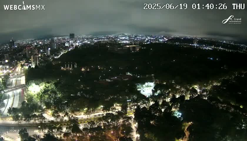 A nighttime aerial view of a city illuminated with scattered lights, surrounded by a vast, dark expanse of trees under a cloudy sky.