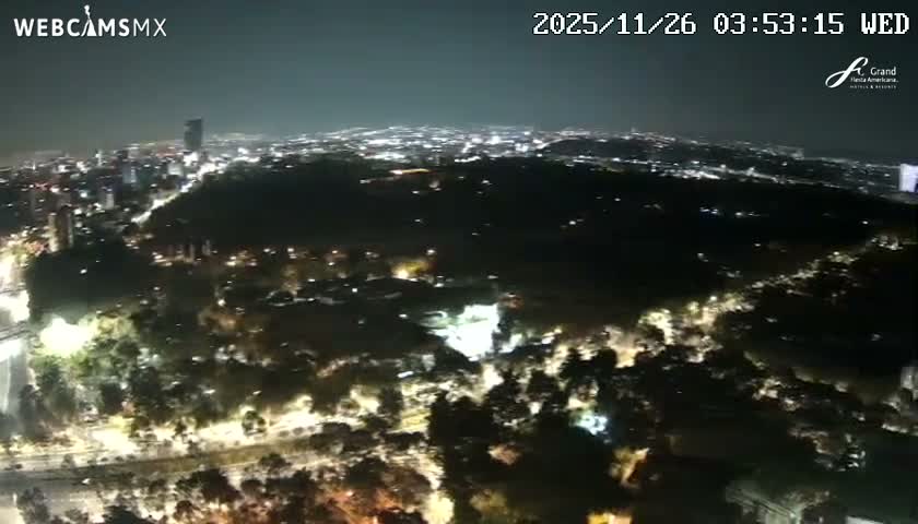 An aerial night view reveals a sprawling city illuminated by countless lights from buildings and streets, encompassing a large dark park area in the foreground, under clear weather conditions.
