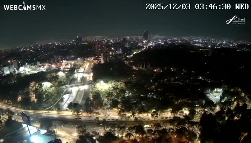 An expansive night aerial view reveals a sprawling city illuminated by streetlights and buildings, with a prominent highway and numerous trees, all under a clear, dark sky.