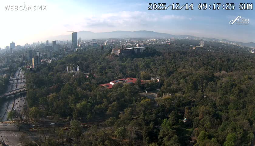 An expansive night aerial view reveals a sprawling city illuminated by streetlights and buildings, with a prominent highway and numerous trees, all under a clear, dark sky.