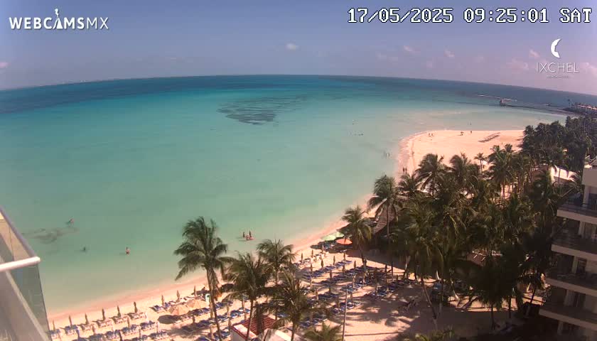 A beach with clear turquoise water, light-pink sand, palm trees, and beach umbrellas under a sunny sky.