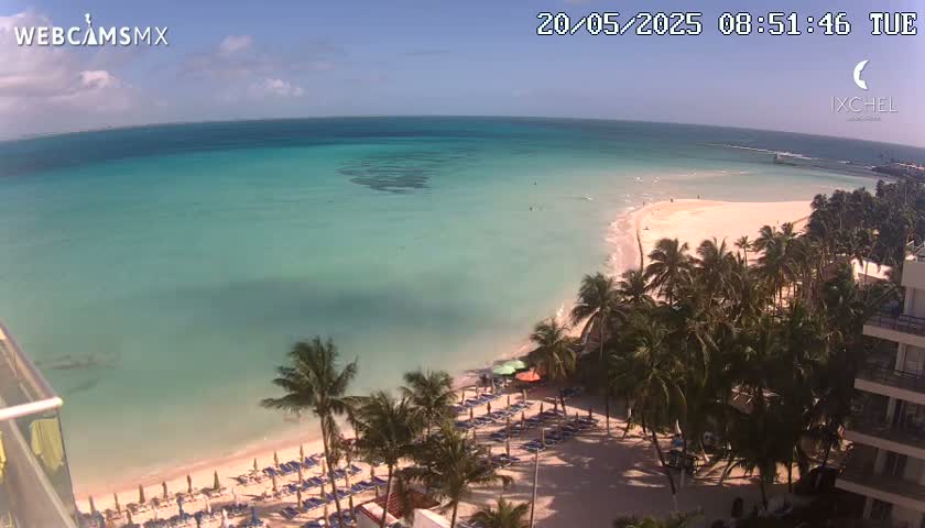 A high-angle view shows a pristine beach with turquoise water under a clear, sunny sky, lined with palm trees and beach umbrellas.