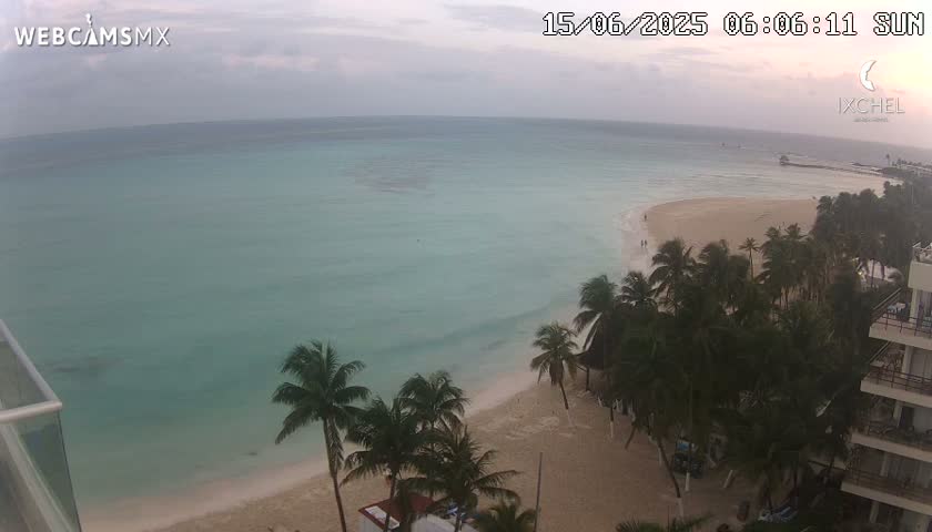 A beach with calm, light-green water under an overcast sky is lined with palm trees and a beachfront building.