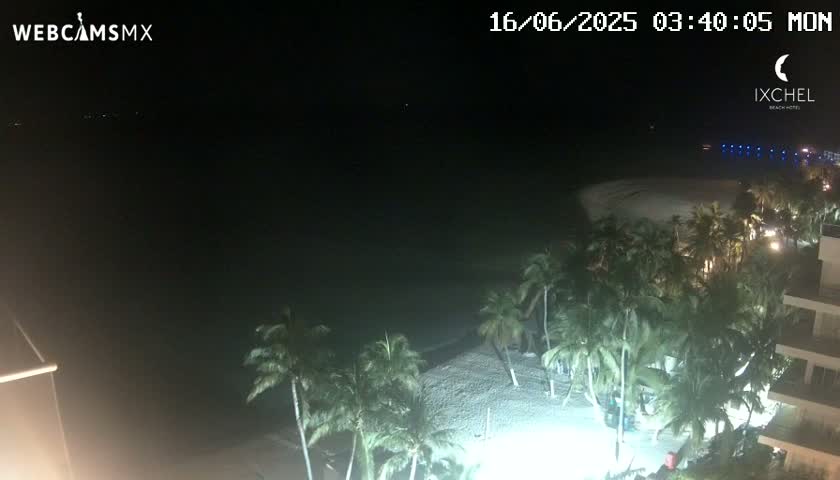 A nighttime view of a sandy beach lined with palm trees, illuminated by artificial lights, overlooking a dark body of water under a clear sky.