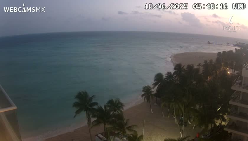 A tranquil beach scene at dawn or dusk shows a calm ocean meeting a sandy shore lined with palm trees and a building.