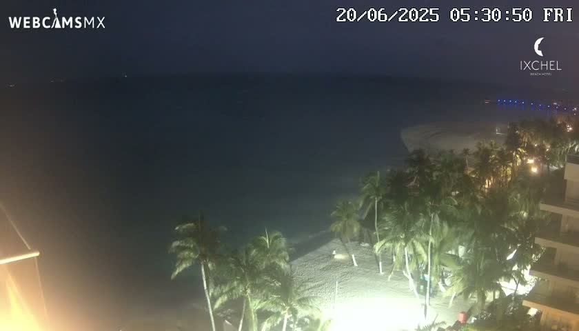A nighttime beach scene shows a calm, dark ocean, a sandy shoreline lined with palm trees, and illuminated buildings.